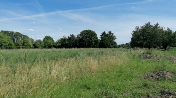 terreno agricolo in vendita a San Pier d'Isonzo