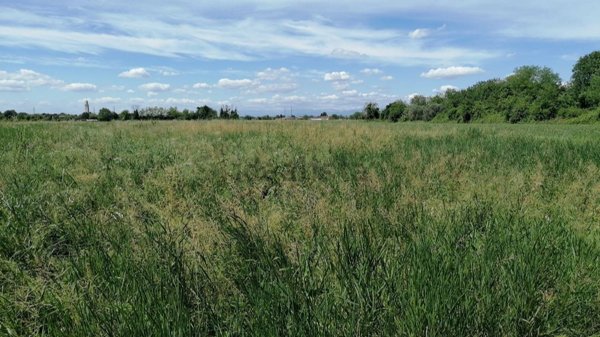 terreno agricolo in vendita a San Pier d'Isonzo