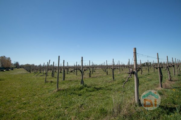 azienda agricola in vendita a San Pier d'Isonzo