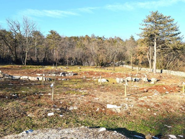terreno agricolo in vendita a Savogna d'Isonzo