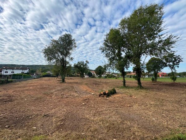 terreno edificabile in vendita a Savogna d'Isonzo