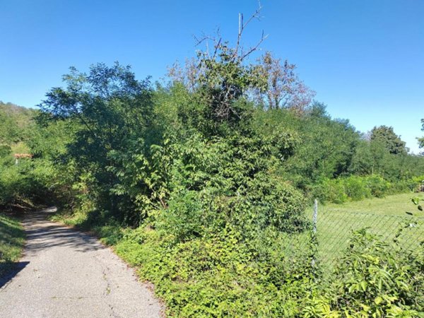 terreno agricolo in vendita a Savogna d'Isonzo