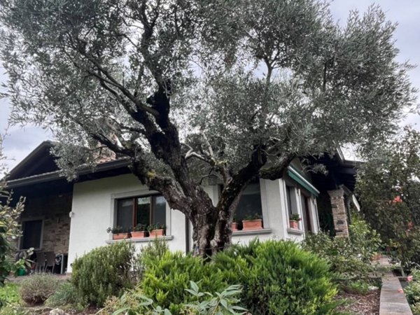 casa indipendente in vendita a Staranzano