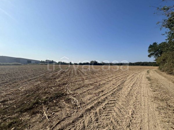 terreno agricolo in vendita a Turriaco