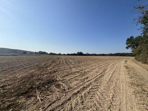 terreno agricolo in vendita a Turriaco