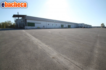 locale di sgombero in vendita a Villesse