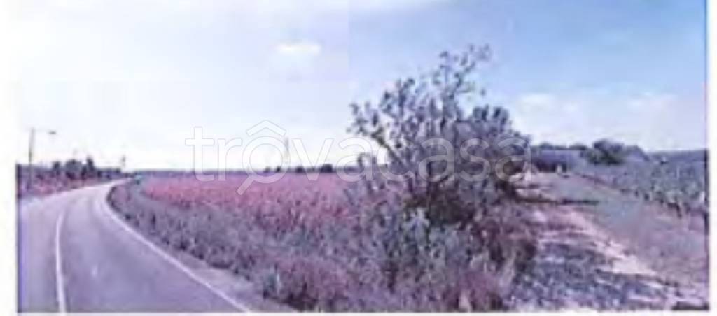 terreno agricolo in vendita a Villesse