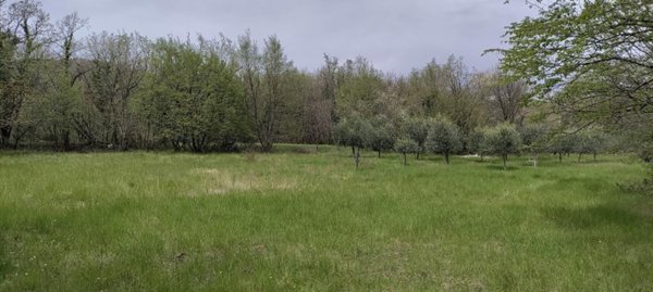 terreno agricolo in vendita a Duino Aurisina in zona Ceroglie