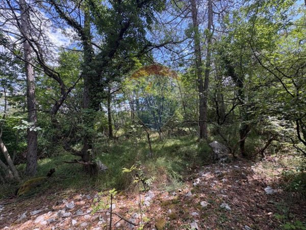 terreno agricolo in vendita a Duino Aurisina
