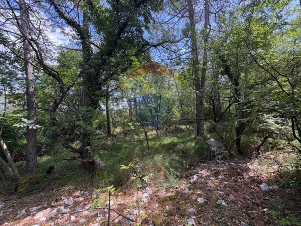 terreno agricolo in vendita a Duino Aurisina