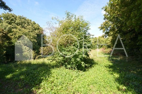terreno agricolo in vendita a Duino Aurisina in zona Malchina