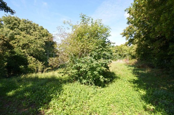 immagine annuncio 0 di 2