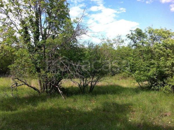 negozio in vendita a Duino Aurisina in zona Visogliano