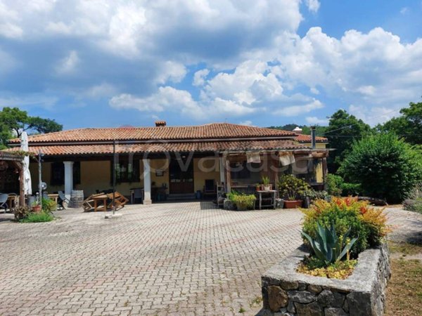 negozio in vendita a Duino Aurisina in zona Ternova