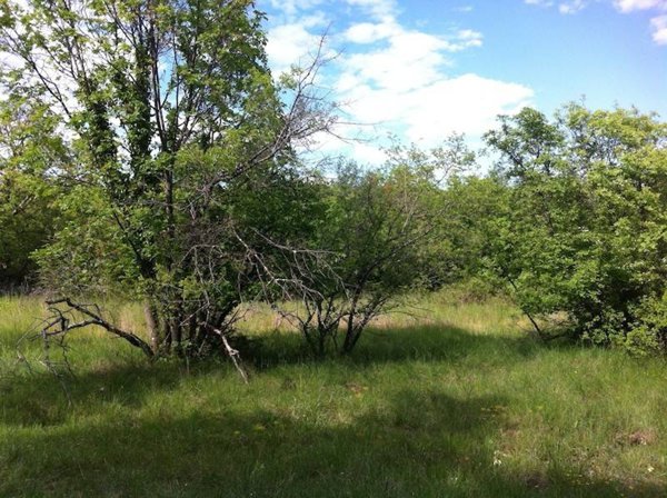 terreno agricolo in vendita a Duino Aurisina in zona Visogliano
