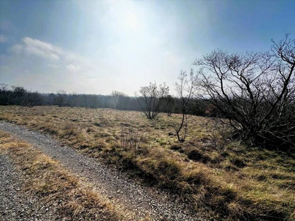 terreno agricolo in vendita a Duino Aurisina in zona Malchina