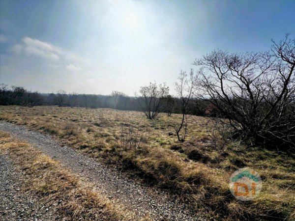 terreno agricolo in vendita a Duino Aurisina