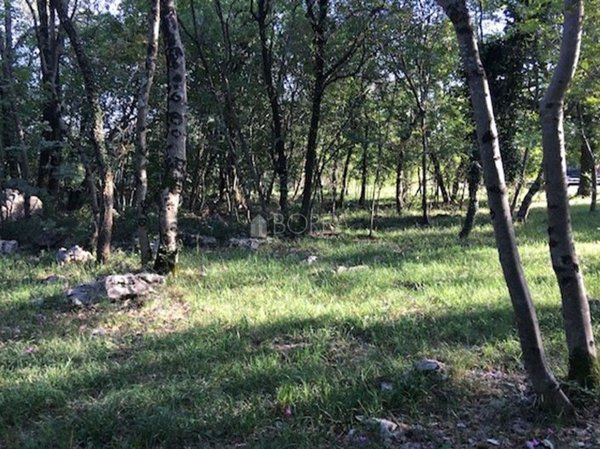 terreno agricolo in vendita a Duino Aurisina in zona Slivia