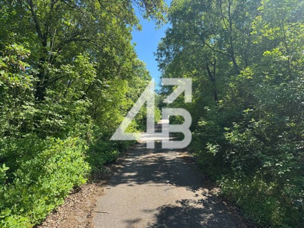 terreno agricolo in vendita a Duino Aurisina in zona Aurisina Stazione