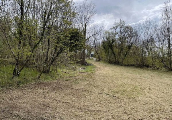 terreno agricolo in vendita a Duino Aurisina in zona Precenico
