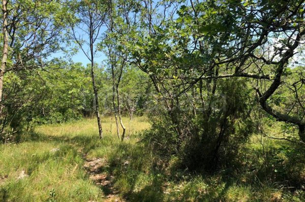 negozio in vendita a Duino Aurisina in zona Visogliano