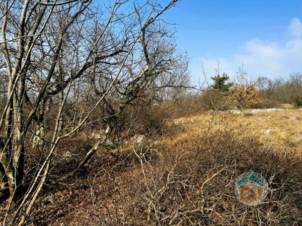 terreno agricolo in vendita a Duino Aurisina
