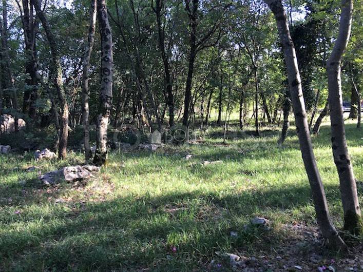 terreno in vendita a Duino Aurisina in zona Slivia