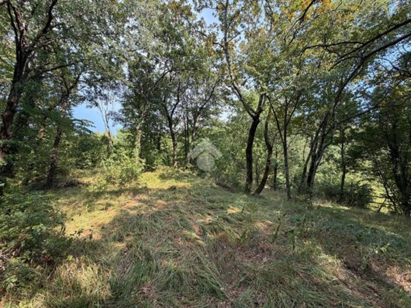 terreno in vendita a Duino Aurisina in zona Precenico