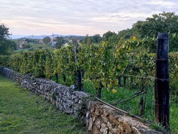 casa indipendente in vendita a Monrupino