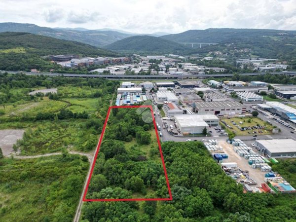terreno agricolo in vendita a Muggia