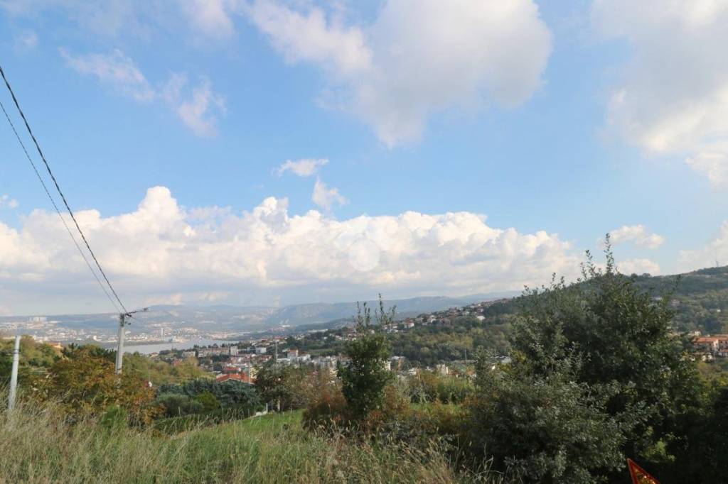 terreno agricolo in vendita a Muggia