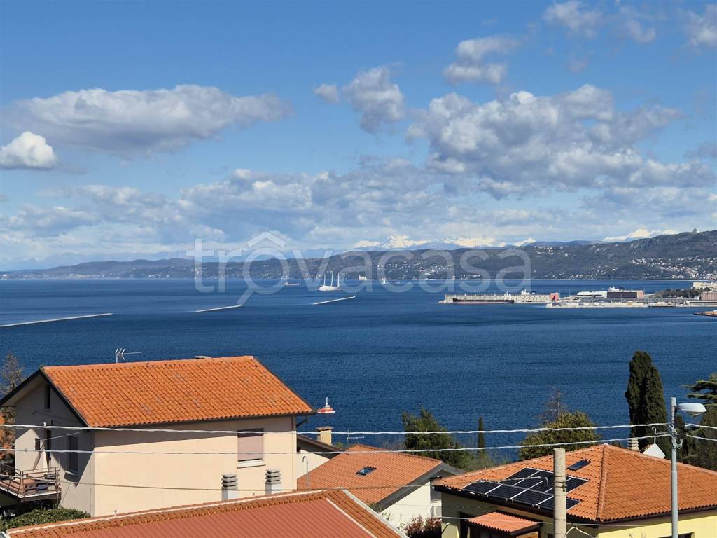 terreno agricolo in vendita a Muggia