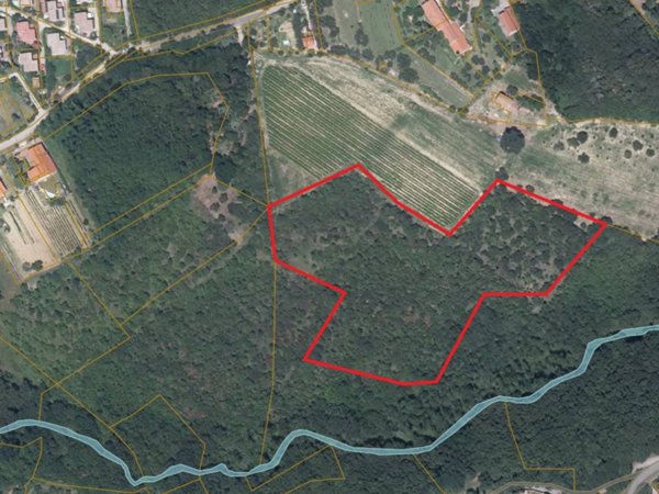 terreno agricolo in vendita a Muggia