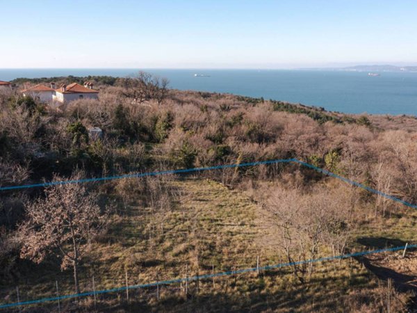 terreno agricolo in vendita a Muggia in zona Chiampore
