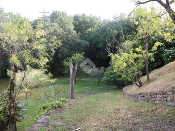 terreno agricolo in vendita a Muggia in zona Santa Barbara