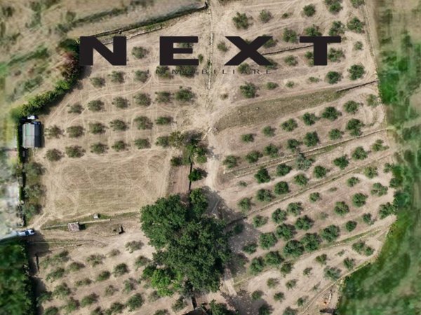 terreno agricolo in vendita a Muggia