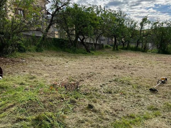 terreno agricolo in vendita a Muggia in zona Aquilinia