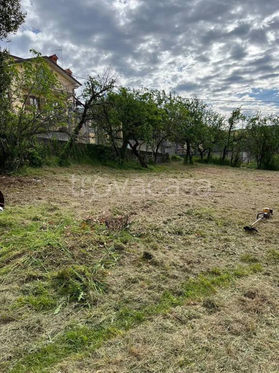 terreno agricolo in vendita a Muggia