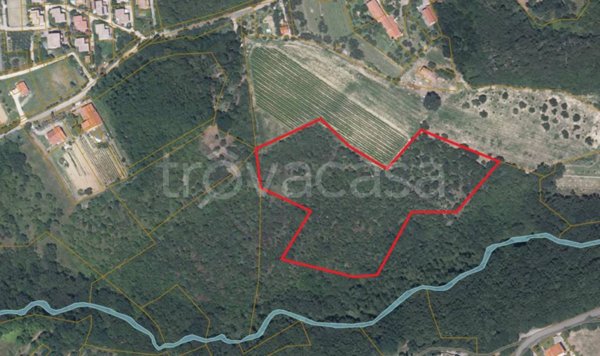 terreno agricolo in vendita a Muggia