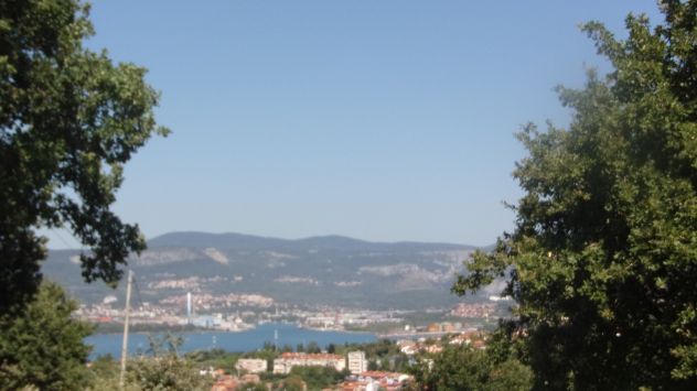 terreno agricolo in vendita a Muggia