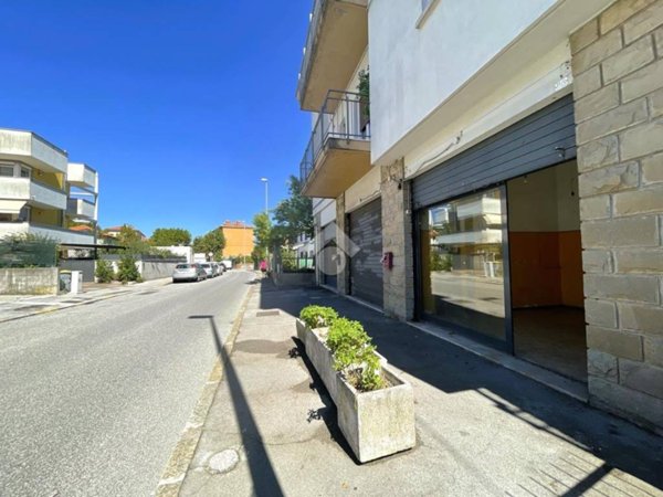 negozio in vendita a Muggia