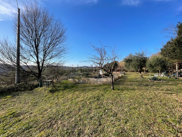 terreno agricolo in vendita a Muggia in zona Santa Barbara