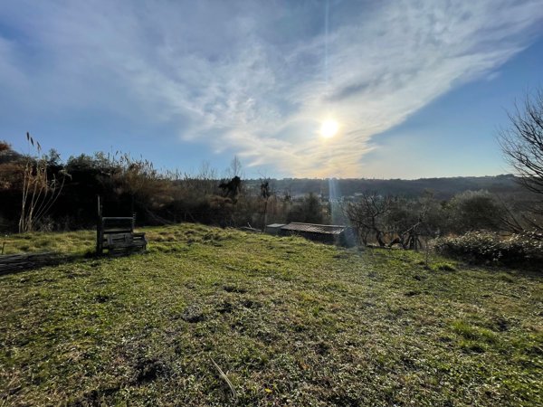 terreno agricolo in vendita a Muggia in zona Santa Barbara