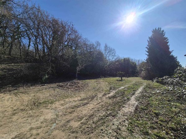 casa indipendente in vendita a Muggia