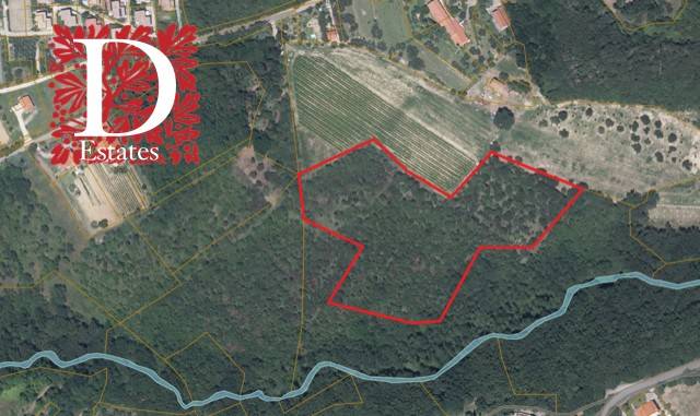 terreno agricolo in vendita a Muggia