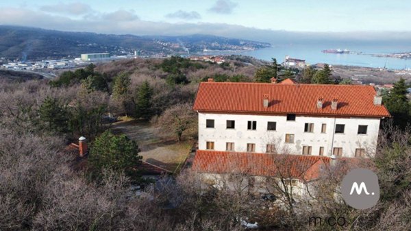 negozio in vendita a Muggia