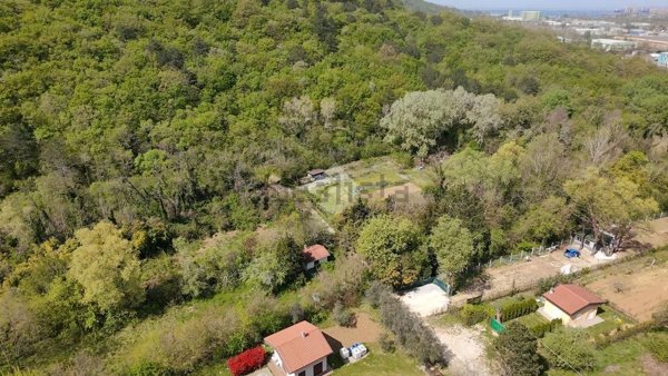 terreno agricolo in vendita a Muggia in zona Vignano