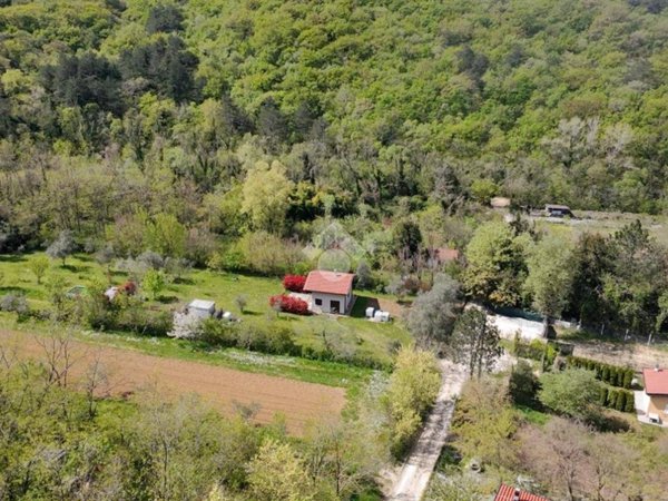 terreno agricolo in vendita a Muggia in zona Vignano
