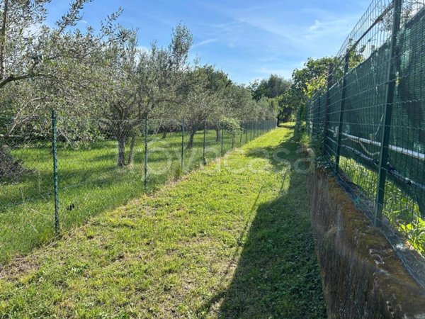 terreno agricolo in vendita a Muggia