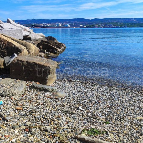 appartamento in vendita a Muggia